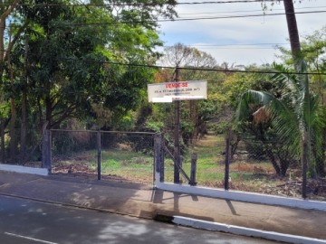 Terreno - Venda - Jardim Paulista - Araatuba - SP