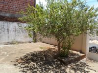 Casa - Venda - Umuarama - Araçatuba - SP
