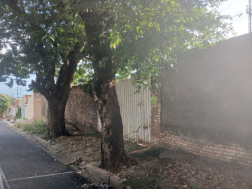 Terreno - Venda - Morumbi - Araatuba - SP