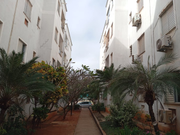 Apartamento - Venda - Jardim Paulista - Araçatuba - SP