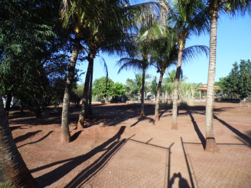 Terreno - Venda - Residencial São José do Macaúba - Santo Antônio do Aracanguá - SP