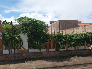 Terreno - Venda - Conjunto Habitacional Clóvis Valentin Picolotto - Araçatuba - SP