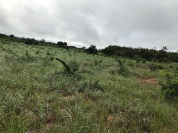 Fazenda - Venda - Zona Rural - Recursolândia - TO