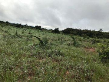 Fazenda - Venda - Zona Rural - Recursolndia - TO