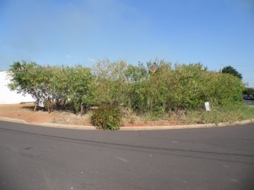 Terreno - Venda - Jardim Moreira - Araçatuba - SP