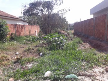 Terreno - Venda - Pinheiros - Araatuba - SP